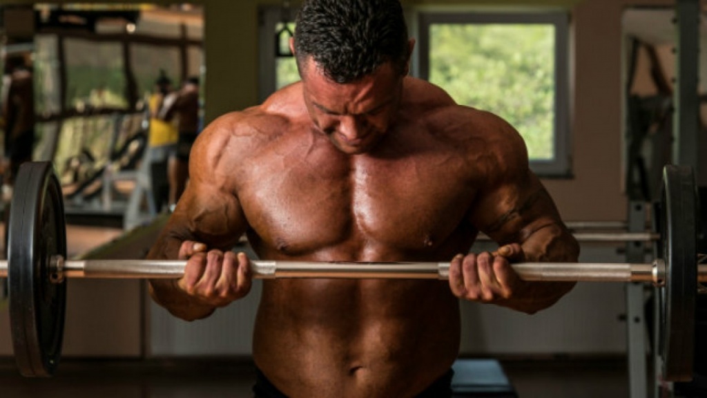 Barbell Curl 9-24_0.jpg